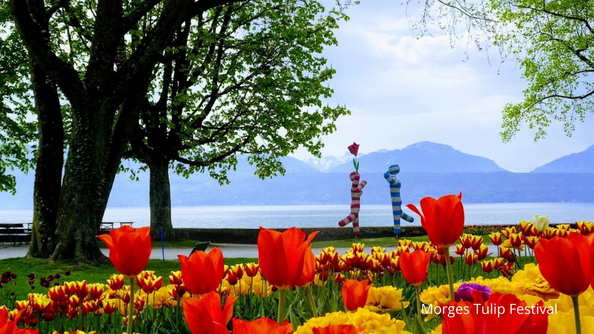 Morges Tulip Festival